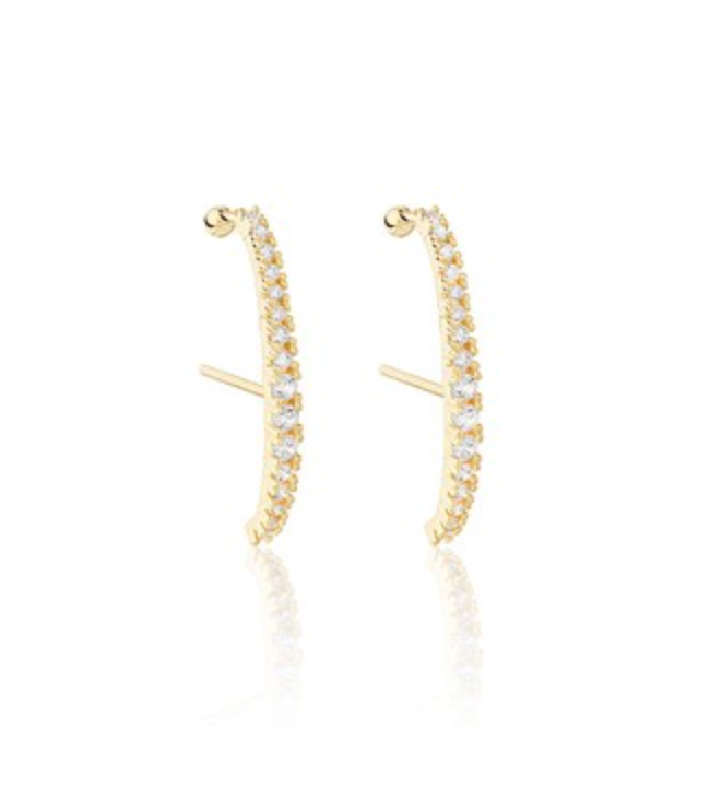 Manu Ear Hook Earring